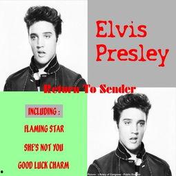 elvis在线观看,在线观看Elvis带你领略摇滚传奇