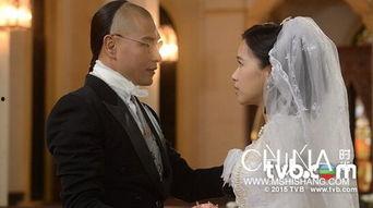 tvb张保仔在线观看,海上传奇，TVB经典剧集在线重温