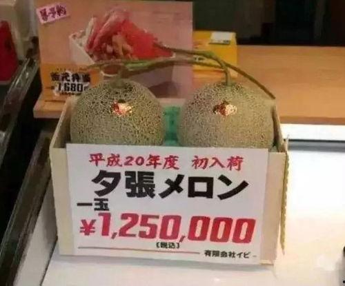 娱乐吃瓜湖南,吃瓜群众的热门话题盘点