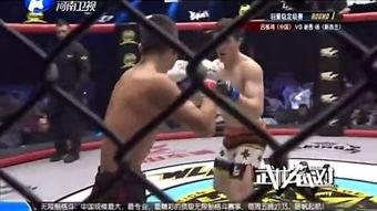 笼中女囚 在线观看,跟随笼中女囚探寻女性囚徒的内心世界