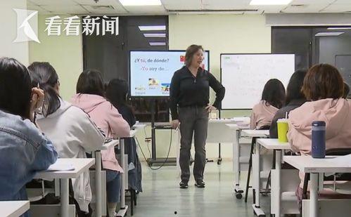 夜校 在线观看,在线课堂中的知识之旅