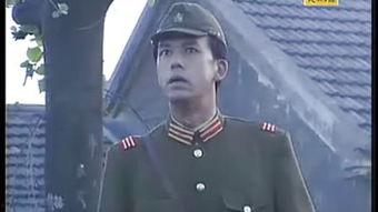 电影平型关大捷在线观看,抗战胜利的转折点