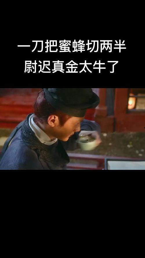 尉迟真金在线观看,在线观看，揭秘古代英雄传奇人生