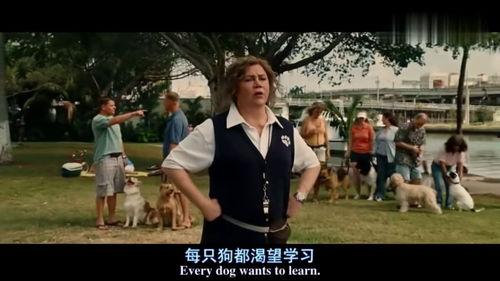 马利与我在线观看,一部温馨治愈的宠物成长记