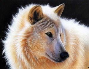 雪狼犬在线观看,追踪冰雪秘境的忠诚守护者