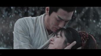 霜花门在线观看,穿越时空的奇幻之旅，在线观看带你领略神秘魅力