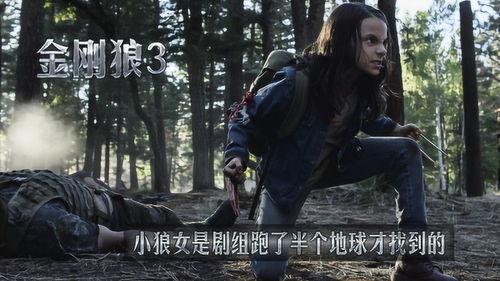 狼战3电影在线观看,巅峰对决，在线热血激战