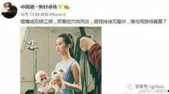 吃瓜娱乐刘诗诗,瓜田里的甜蜜生活