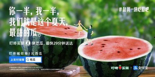 娱乐吃瓜酱 文案,揭秘娱乐圈那些不为人知的幕后故事