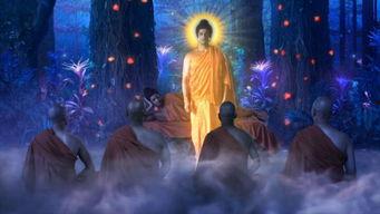 佛教电视电视在线观看,一键在线启程