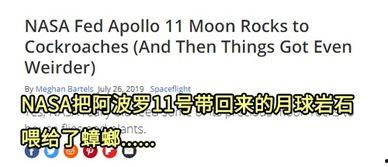 微量尘埃在线观看,在线探索微观世界的奇幻之旅