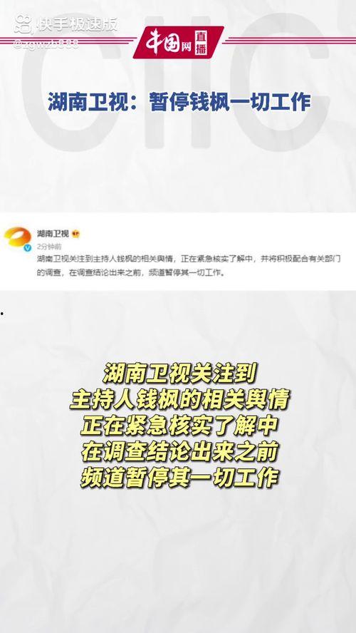 娱乐圈吃瓜文件叫什么,从“吃瓜文件”看明星幕后真相