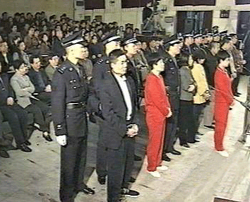 张君集团在线观看,在线观看，揭秘企业风采与实力