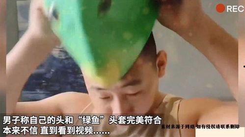 绿鱼 在线观看,在线观看，探索神秘生物的奇幻之旅