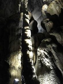 第11洞在线观看