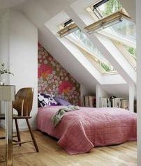 阁楼2014在线观看,穿越时空的惊悚之旅