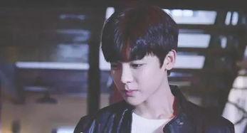 寒武纪在线观看18,在线观看18，揭秘地球生命起源的神秘之旅