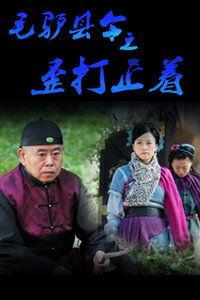 毛驴县令之歪打正着在线观看,歪打正着，笑料百出的古代奇遇记