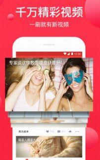 西瓜在线视频观看视频,畅享精彩瞬间，尽览热门影视盛宴