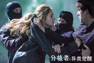 分歧者高清在线观看,高清在线观看，揭秘信仰与选择的冲突