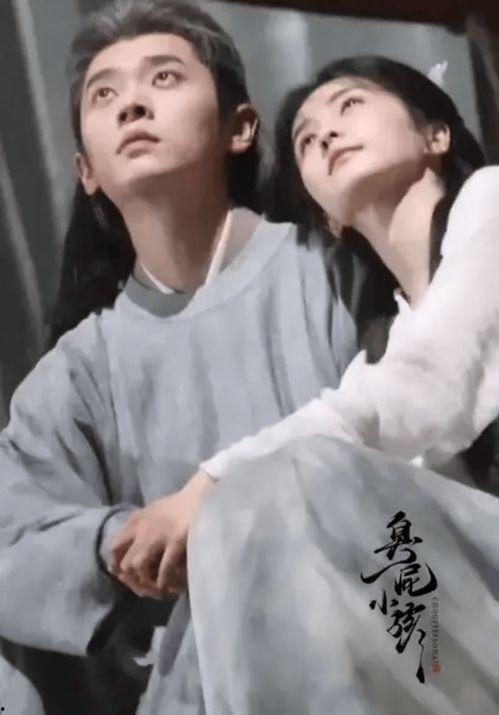 白鹿在线观看搜狐视频,搜狐视频独家呈现精彩剧情